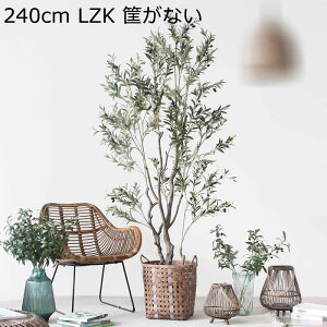 I[u̖ ^ lHϗtA  lHA K[f JtF y150cmz Lb` xbh[ tFCNO[  j fRp _ԂɍœK ͂Ȃ sv b