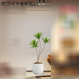 lHϗtA ^  lHΐA  GgX  CeAG xbh[ z[ tFCNO[  j fRp _ԂɍœK ͂Ȃ sv b