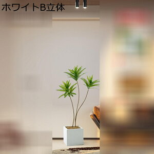 lHϗtA ^  lHΐA  GgX  CeAG xbh[ z[ tFCNO[  j fRp _ԂɍœK ͂Ȃ sv b