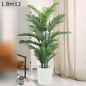 AJV lHϗtA ^  lH~ X i ƒ    tFCNO[ v[g zj  ̓ _ԂɍœK ͂Ȃ sv b炸