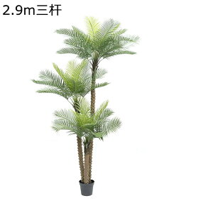 lHϗtA tFCNO[ q̖ ϗA  K[f JtF Lb` xbh[ ^ O[i[Ct v[g zj  ̓ bsv ₷