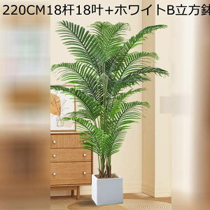 AJV ^ O ItBX CeA CeAO[  tFCNO[ lH~ v[g zj  ̓ bsv ₷ { Mtgɂ