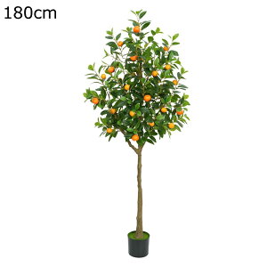 O ItBX ~J̖ CeA CeAO[ ^  tFCNO[ lHϗt j JXj ̓ ͂Ȃ sv b炸  { O[i