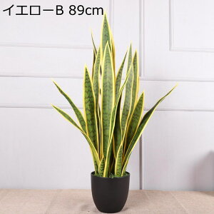 lHϗtA TXxA tFCNO[ tFCNA  ze rO [ ɒuA  O[i[Ct v[g zj  ̓ ͂Ȃ s