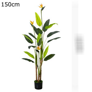 lHϗtA tFCNO[ ϗtA  ze vX`bN rO [ ɒuA ^ O[i[Ct j JXj ̓ ͂Ȃ sv b