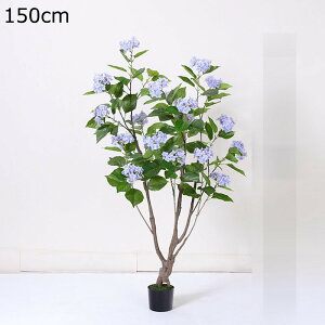 AWTC lHϗtA ^  lHΐA K[f JtF Lb` xbh[ tFCNO[ v[g zj  ̓ O[i[Ct ͂Ȃ sv 