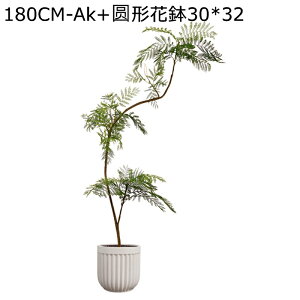 CeAG WJ_ EFfBOZ^[s[X ^  tFCNO[ lHΐA j JXj ̓ ͂Ȃ sv b炸  A _Ԃɍ