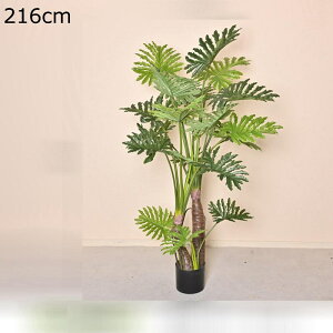 O ItBX CeA CeAO[ ^ Xe  tFCNO[ lHΐA  j fRp ͂Ȃ sv b炸 { _ԂɍœK 