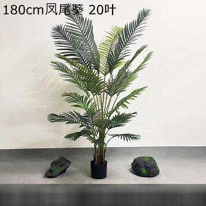 AJV lHϗtA ^  lHϗtA X i ƒ    tFCNO[ v[g zj  ̓ O[i[Ct ͂Ȃ sv b