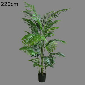 AJV lHϗtA tFCNO[ tFCNA  ze rO [ ɒuA  ^ O[i[Ct  j fRp bsv ₷