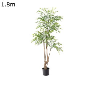 K[f V| ze JtF Lb` xbh[ ^  tFCNO[ lHϗt j JXj ̓ bsv ₷  A O[i[Ct Mt