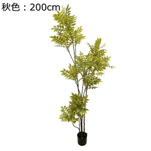  GgX  z[ ^  tFCNO[ xW~ lHΐA  j fRp ȒP QȂ  A O[i[Ct Mtgɂ