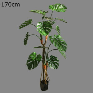 Xe lHϗtA ^  lH~ X i ƒ    tFCNO[  170cm Vv j fRp _ԂɍœK bsv ₷