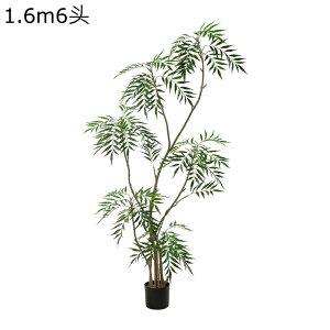 lHϗtA | tFCNO[ ϗA   GgX  z[ ^ O[i[Ct v[g 悯oRj[ zj ̓ bsv ₷