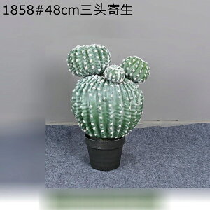  T{e GgX  z[ ^  tFCNO[ lHΐA  j fRp ͂Ȃ sv b炸  { O[i[Ct Mtg