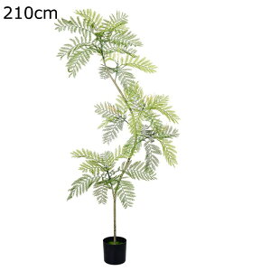 lHϗtA WJ_ tFCNO[ ϗt  O ItBX CeA CeAO[ ^ O[i[Ct j JXj ̓ ͂Ȃ sv b炸