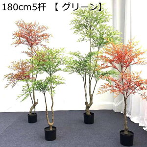 ze rO V [ ɒuA  ^  tFCNO[ lHϗt  j fRp ͂Ȃ sv b炸  A O[i[Ct Mtg