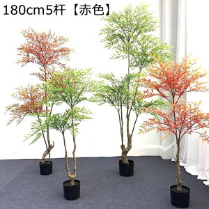 ze rO V [ ɒuA  ^  tFCNO[ lHϗt  j fRp ͂Ȃ sv b炸  A O[i[Ct Mtg