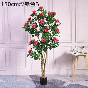 lHϗtA sN o ^  lH K[f JtF  Lb` xbh[ tFCNO[  j fRp _ԂɍœK ȒP QȂ