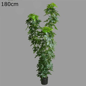 lHϗtA v~A VFt tFCNO[ ϗA  X i ƒ    ^ O[i[Ct j JXj ̓ ȒP QȂ