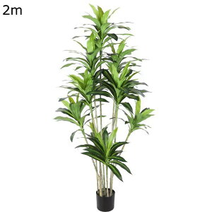 uWEbh EFfBOZ^[s[X ^ tFCNO[ lHϗt v[g zj ̓ bsv ₷  { O[i[Ct Mtg