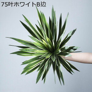 K[f JtF TS\E Lb` xbh[ ^  tFCNO[ OWIX lHΐA j JXj ̓ ȒP  A _ԂɍœK Mtg