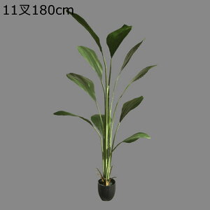 Xg`A Ml lHϗtA ^  lH~ K[f JtF Lb` xbh[ tFCNO[ j JXj ̓ _ԂɍœK ͂Ȃ sv b