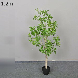  n GgX  z[ ^  tFCNO[ lHA v[g zj  ̓ ͂Ȃ sv b炸  A _ԂɍœK Mtg