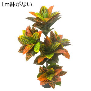 O ItBX 100cm CeA CeAO[ ^  tFCNO[ lHΐA  j fRp ȒP QȂ  { _ԂɍœK Mt