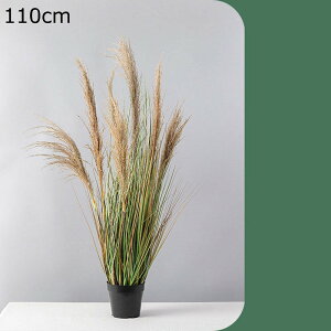   GgX  z[ ^  tFCNO[ lHΐA j JXj ̓ ȒP QȂ  A _ԂɍœK Mtg