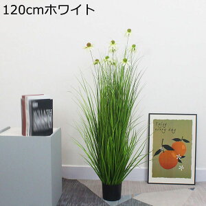 R[t[ [hOX lHϗtA ^  rO [ ɒuA  ufBXvC tFCNO[ v[g zj ͂Ȃ sv b