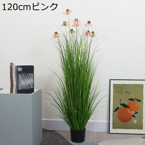 R[t[ [hOX lHϗtA ^  rO [ ɒuA  ufBXvC tFCNO[ v[g zj ͂Ȃ sv b