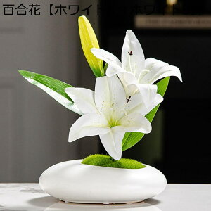 lHϗtA  ~j t   lH~ O ItBX CeA CeAO[ tFCNO[  j fRp _ԂɍœK bsv ₷