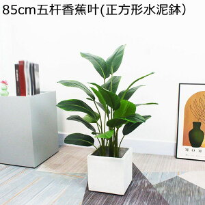 (l̖) X i ƒ    ^  tFCNO[ lHA v[g zj  ̓ bsv ₷  A O[i[Ct Mt