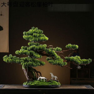 K[f QCX Ή|bg JtF Lb` xbh[ ^  EFJpC~ j JXj ̓ bsv ₷  A O[i[Ct 