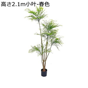 lHϗtA V| Vv  tFCNO[ ϗA  K[f JtF Lb` xbh[ ^ O[i[Ct  j fRp ȒP Q