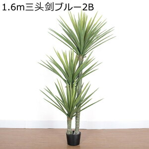 RVl  GgX  z[ ^  tFCNO[ lHϗtA v[g zj L ₷  { O[i[Ct Mtg