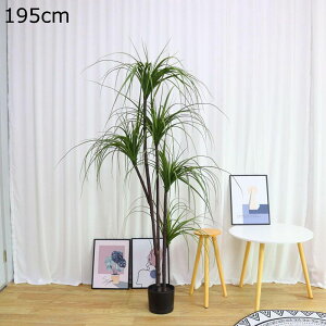 O ItBX CeA CeAO[ ^ Vv  pvc tFCNO[ lHΐA j JXj ̓ ͂Ȃ sv b炸  { Mtg