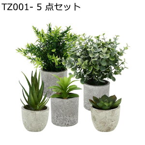 lHϗtA 5 _Zbg ~j   lHΐA ze rO [ ɒuA  tFCNO[  j fRp O[i[Ct ͂Ȃ sv b