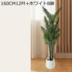 AJp[ lHϗtA ^  lHΐA O ItBX CeA CeAO[ tFCNO[ v[g zj  ̓ ͂Ȃ sv b炸