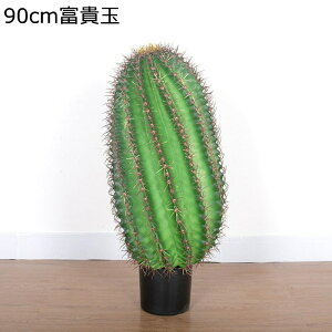 T{e A xM lHϗtA ^  ZEX ze rO [ ɒuA tFCNO[  j fRp _ԂɍœK ͂Ȃ sv b