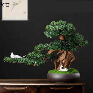   lHϗtA ^  lHΐA X i ƒ    tFCNO[ j JXj ̓ O[i[Ct ͂Ȃ sv b炸