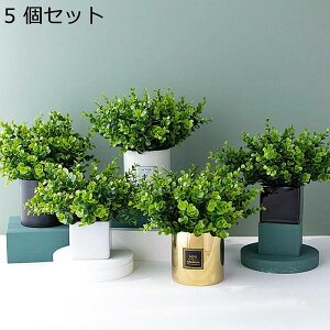  ~j lHϗtA ^  lHA  GgX  z[ tFCNO[ v[g zj  ̓ O[i[Ct ͂Ȃ sv b炸