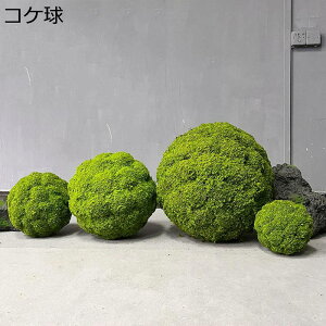 RP lHϗtA tFCNO[ tFCNA  O ItBX CeA CeAO[ ^ O[i[Ct v[g zj  ̓ ͂Ȃ s