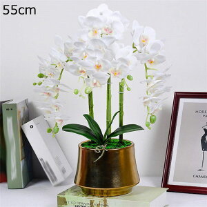 Ӓ lHϗtA ^  lHΐA ze rO [ ɒuA  tFCNO[ v[g zj  ̓ O[i[Ct ͂Ȃ sv