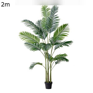 O Go[tbV ItBX CeA CeAO[ ^  tFCNO[ lH JXj ȒP QȂ { O[i[Ct Mtg