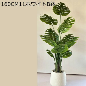 lHϗtA Xe ^  lHΐA K[f JtF Lb` xbh[ tFCNO[  j fRp O[i[Ct ͂Ȃ sv b炸