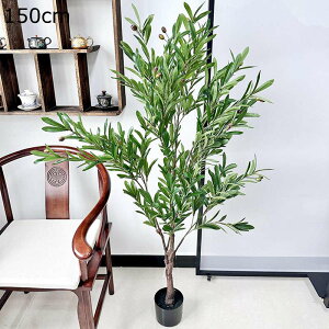 lHϗtA xW~ tFCNO[ ϗt  ze rO [ ɒuA  ^ O[i[Ct  j fRp ͂Ȃ sv b炸