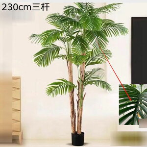 X i AJV ƒ    ^  tFCNO[ lHϗt v[g zj  ̓ ȒP QȂ { O[i[C