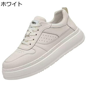 Xj[J[ Y XP[gV[Y  JWAV[Y v h X|[c EH[LO   m[X[u ʋC ϋv ₷ K ʊw ʋ  fbLV[Y